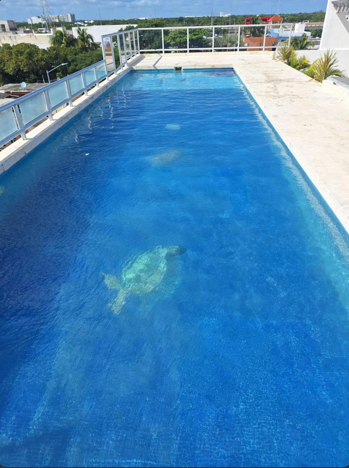 Long Apartamento Playa del Carmen